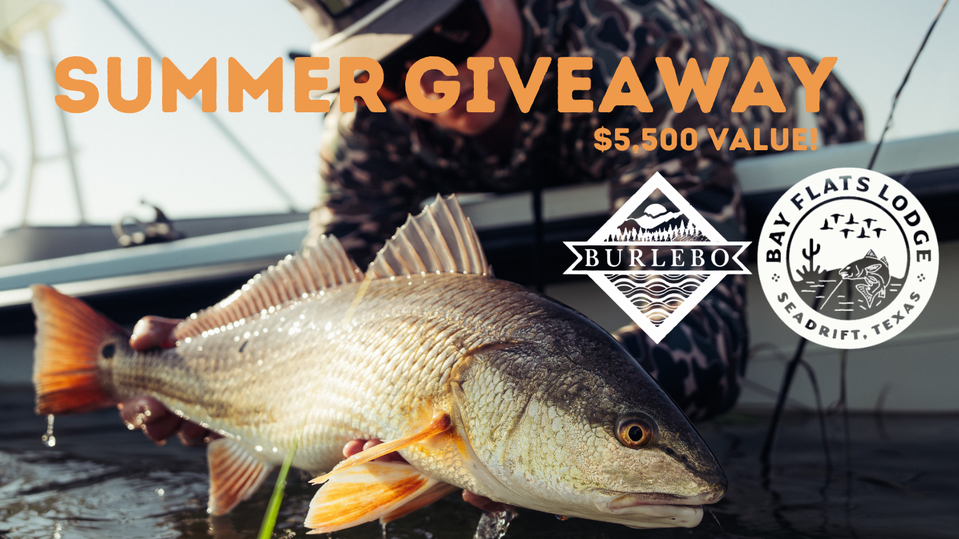 Summer Giveaway!