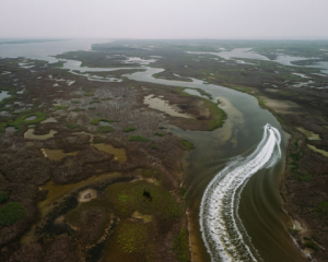 Fishing in the Texas Flats